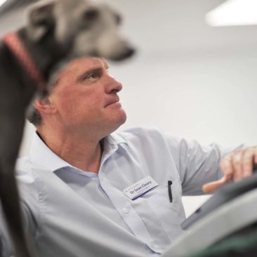 An image of Dr Sean Cleary with his greyhound dog